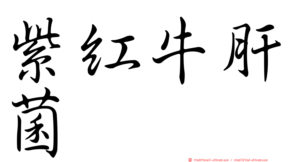 紫紅牛肝菌
