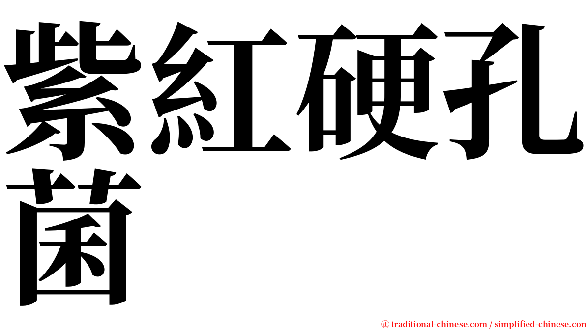 紫紅硬孔菌 serif font
