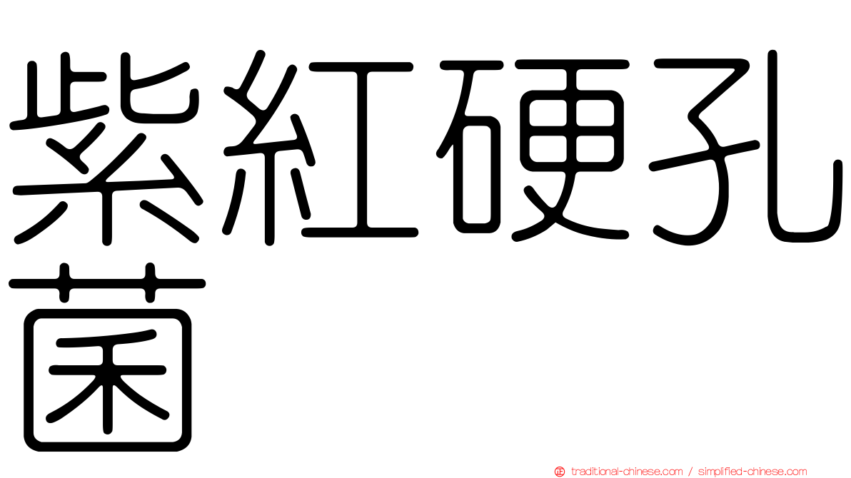 紫紅硬孔菌
