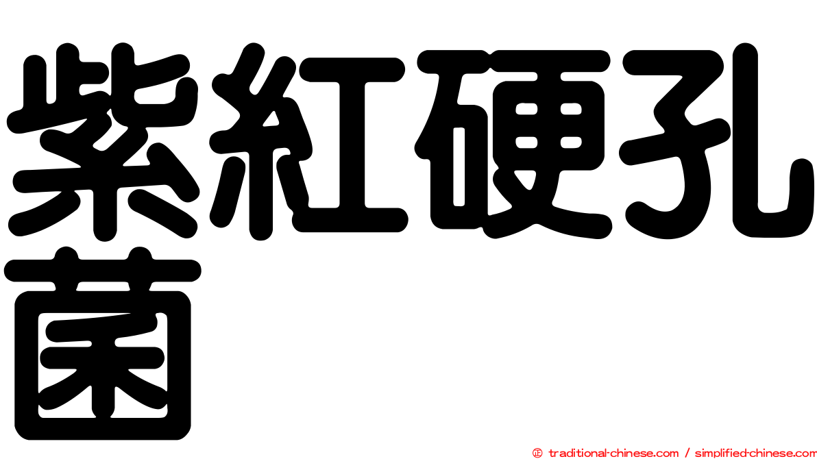 紫紅硬孔菌