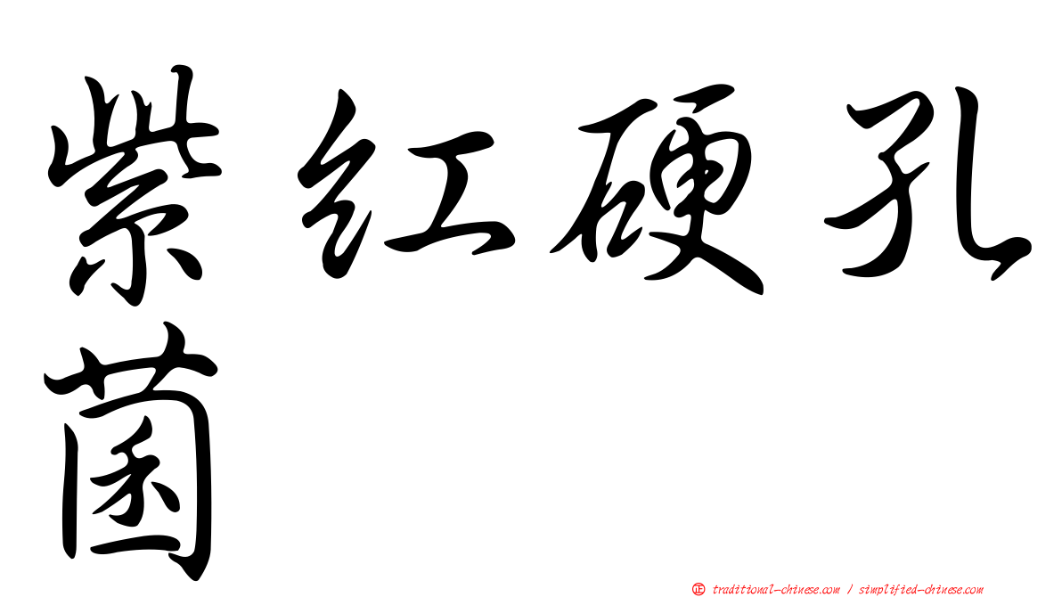 紫紅硬孔菌