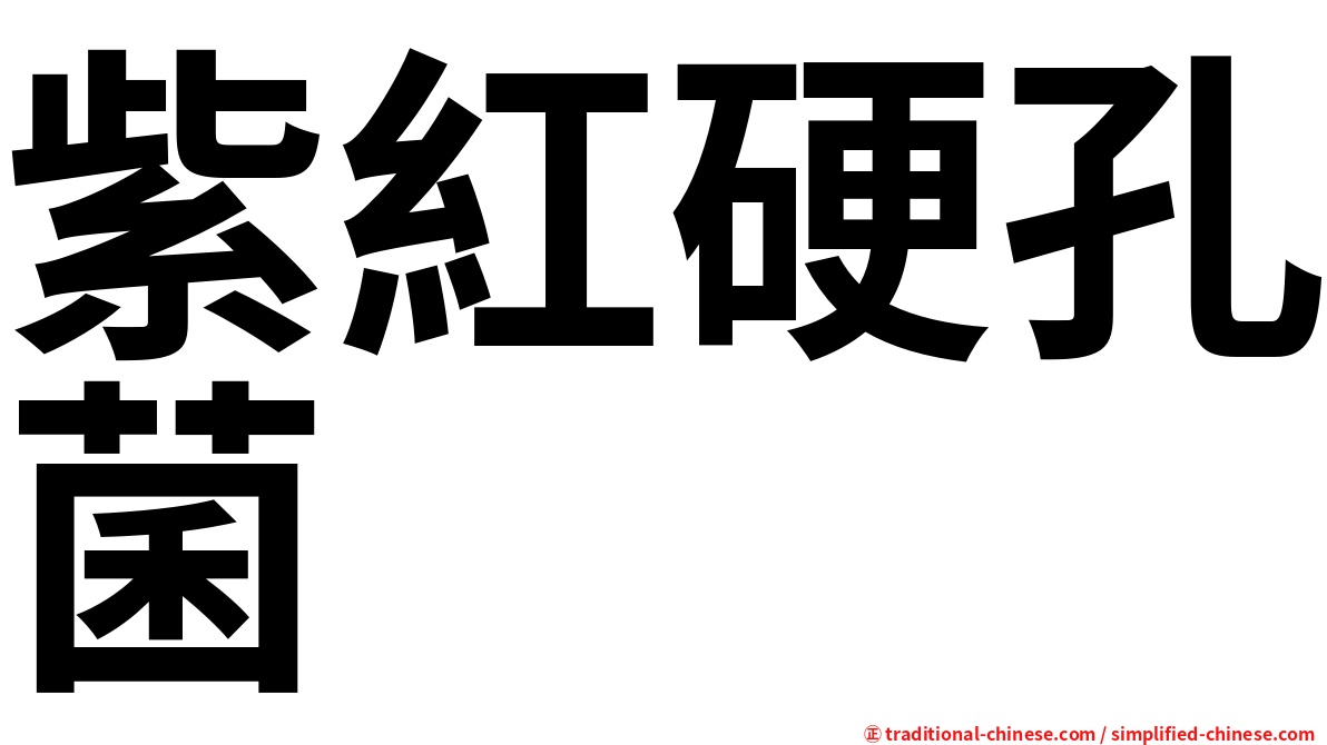 紫紅硬孔菌