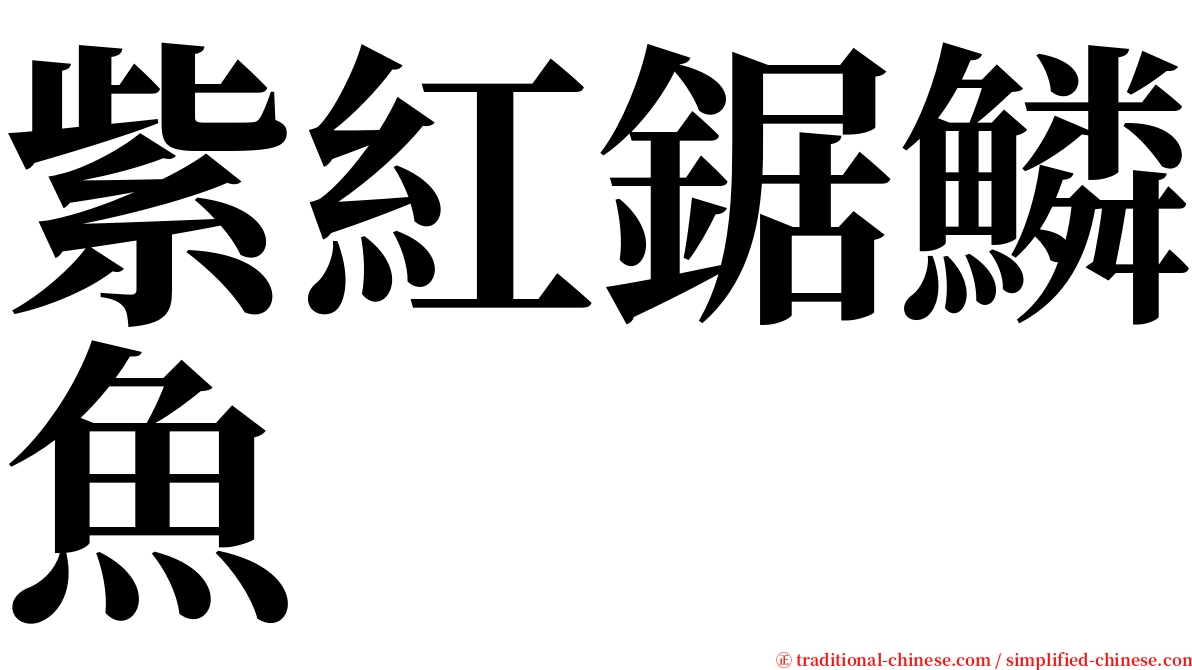 紫紅鋸鱗魚 serif font