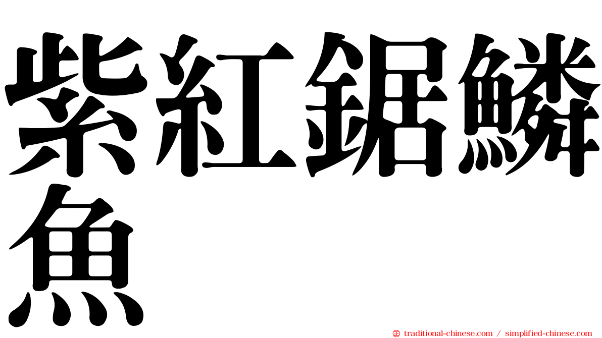 紫紅鋸鱗魚