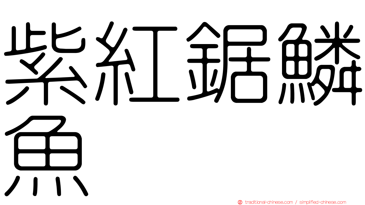 紫紅鋸鱗魚