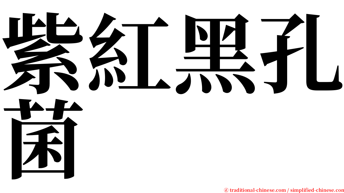 紫紅黑孔菌 serif font