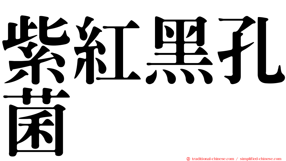 紫紅黑孔菌