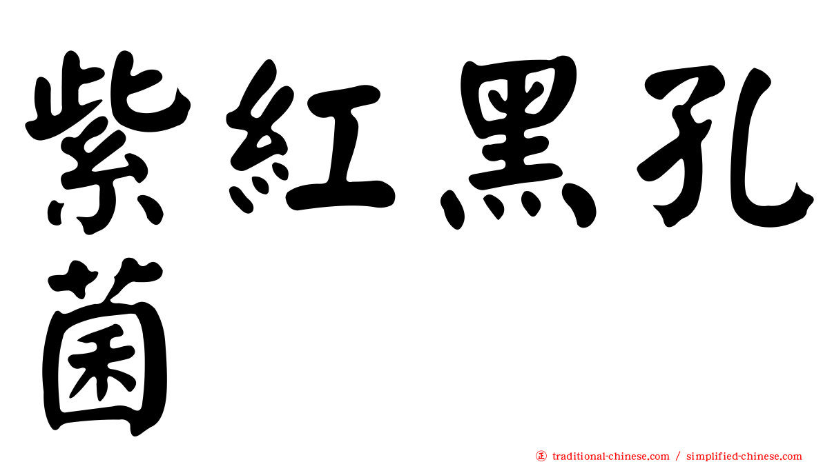 紫紅黑孔菌