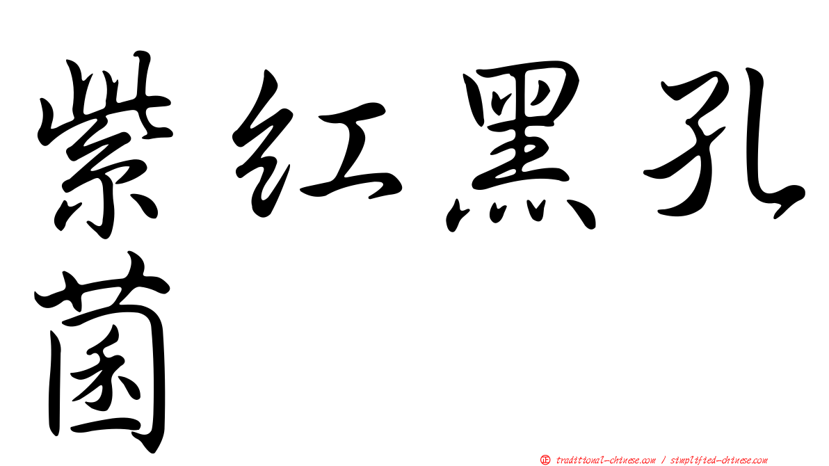 紫紅黑孔菌