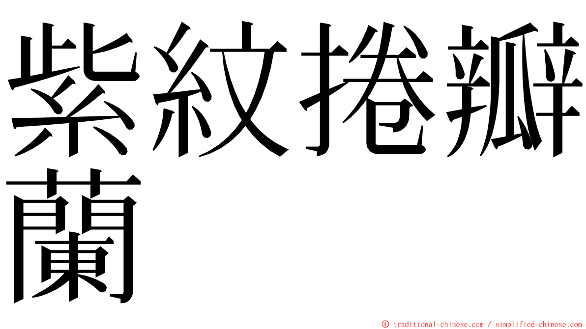 紫紋捲瓣蘭 ming font
