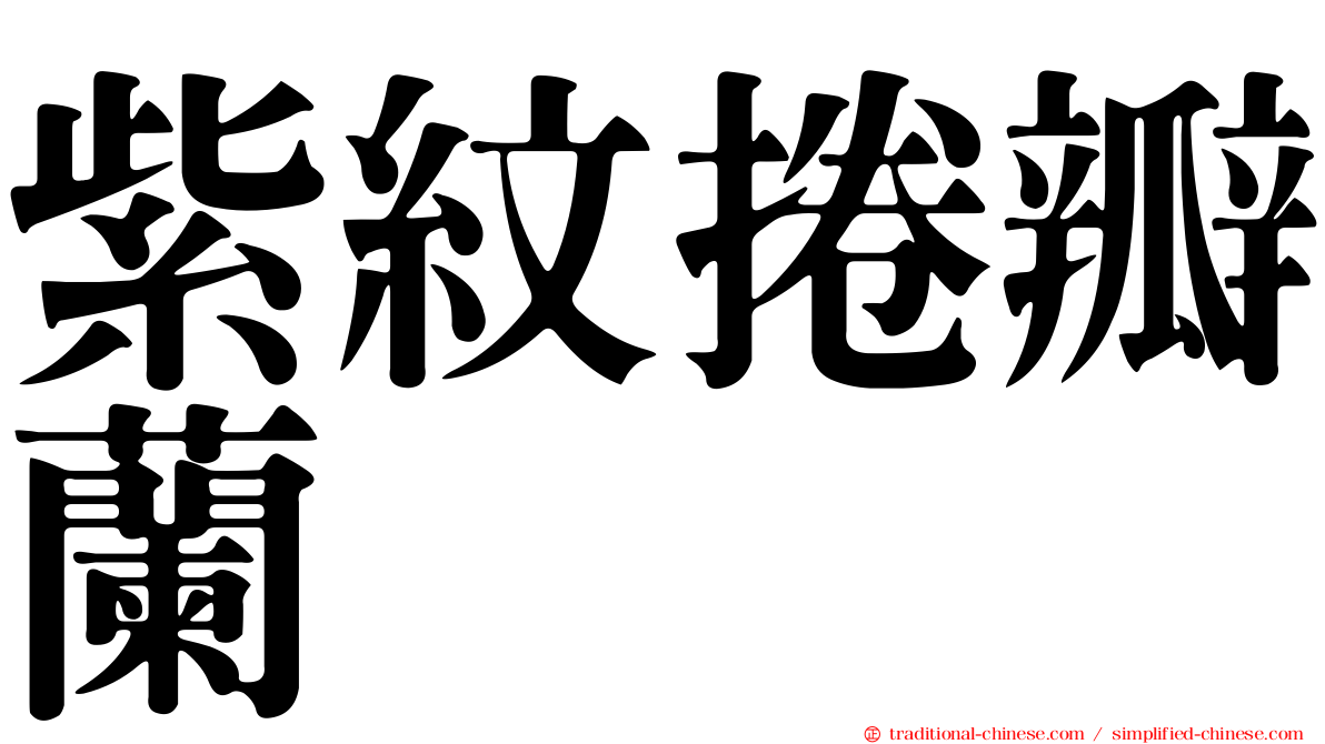 紫紋捲瓣蘭