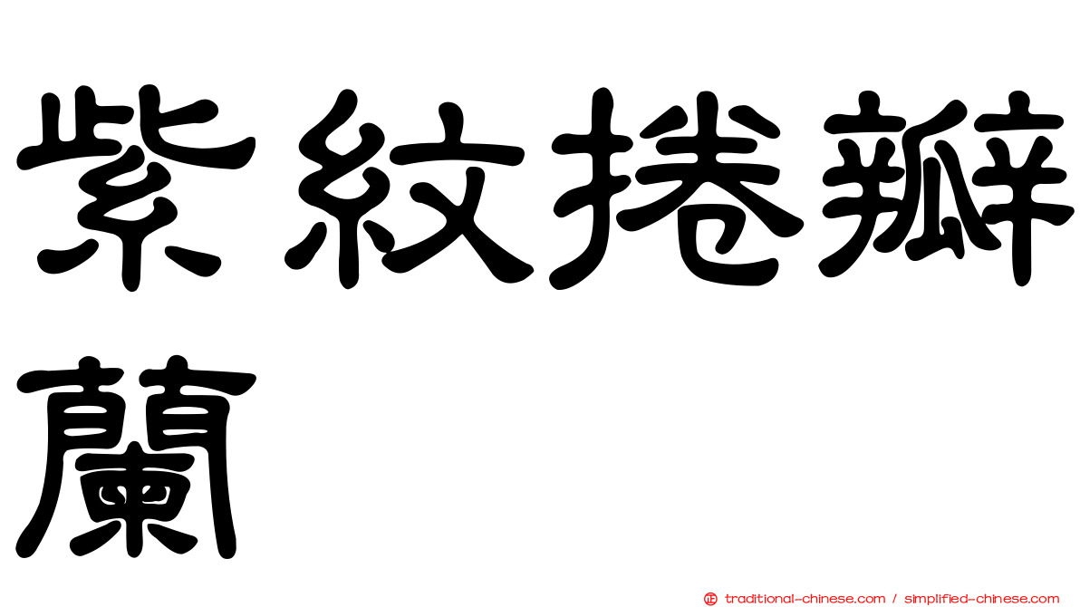 紫紋捲瓣蘭