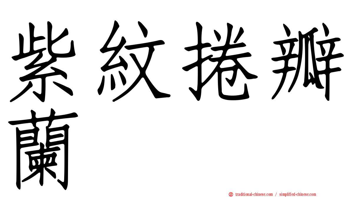 紫紋捲瓣蘭