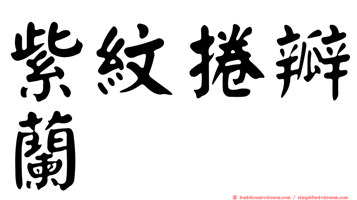 紫紋捲瓣蘭