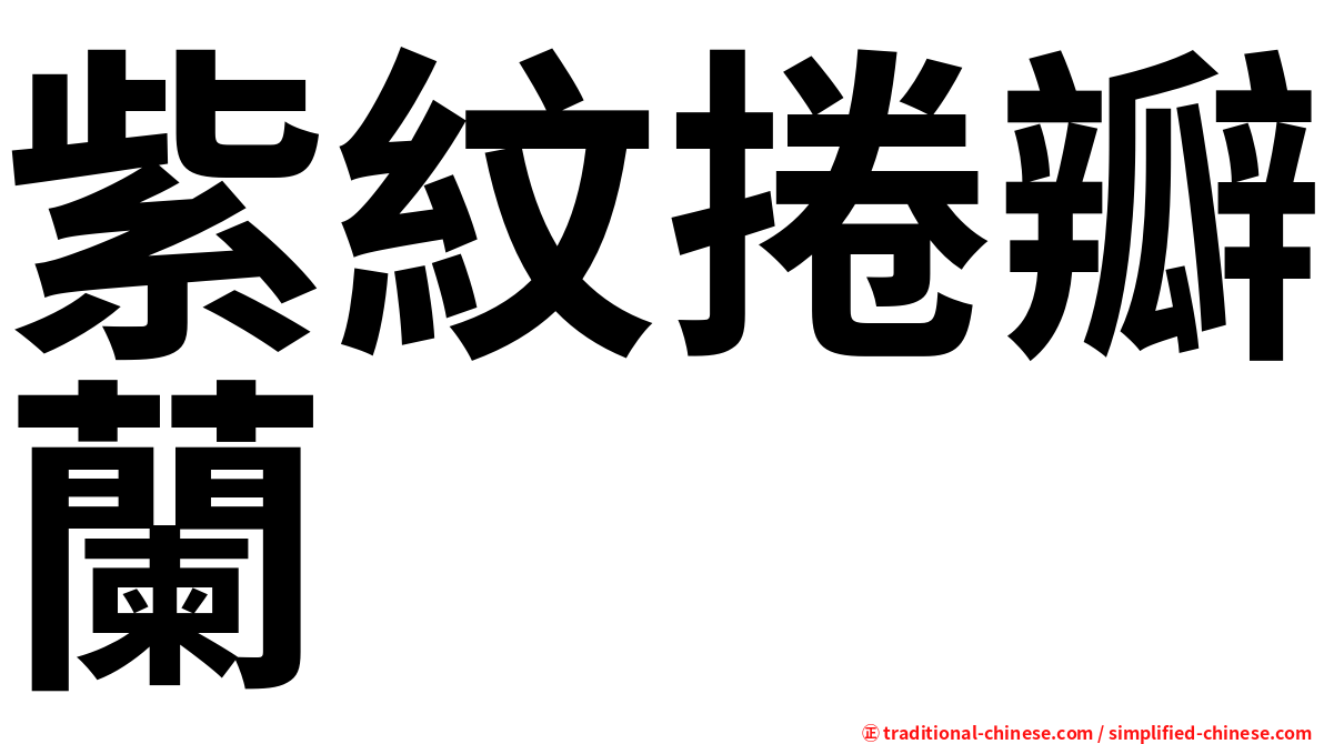 紫紋捲瓣蘭