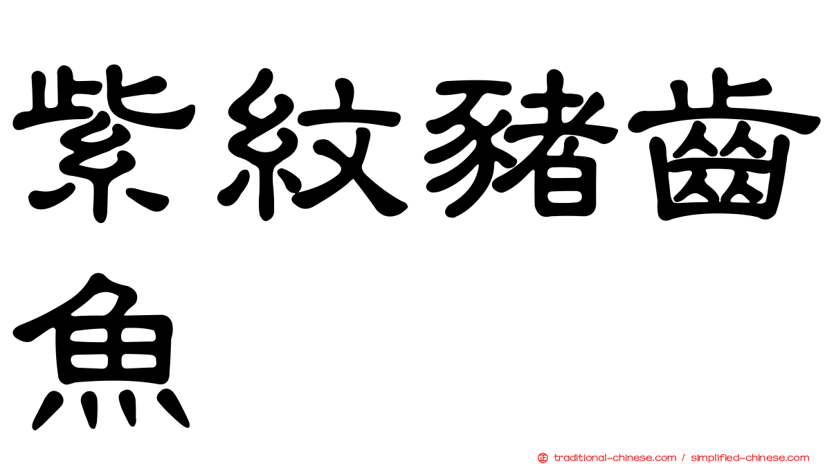 紫紋豬齒魚