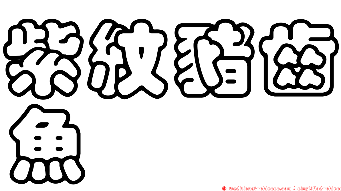 紫紋豬齒魚