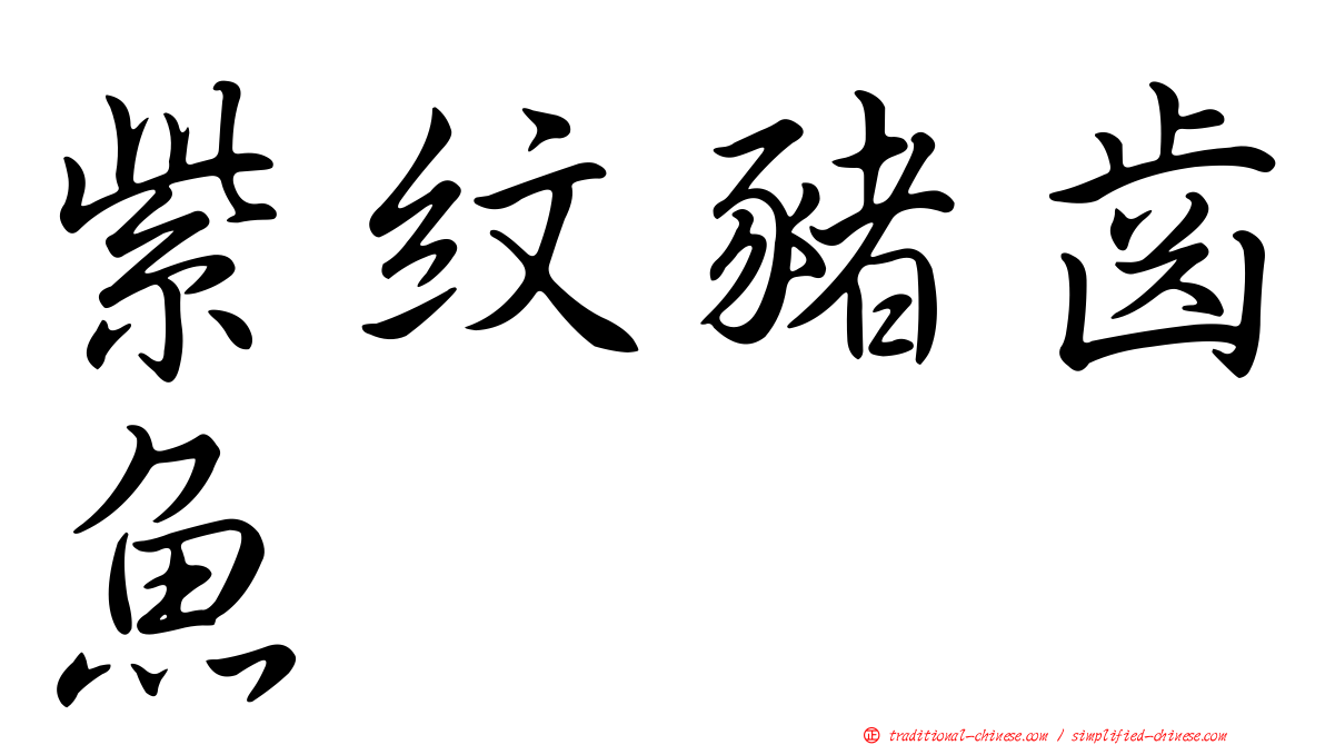 紫紋豬齒魚