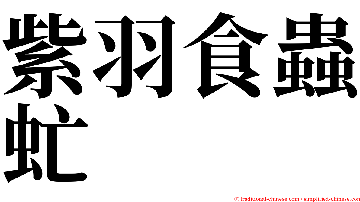 紫羽食蟲虻 serif font