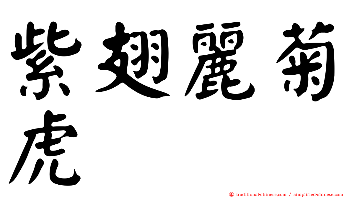 紫翅麗菊虎