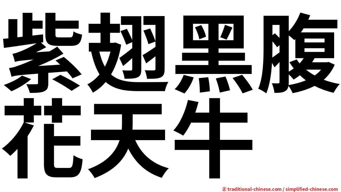 紫翅黑腹花天牛