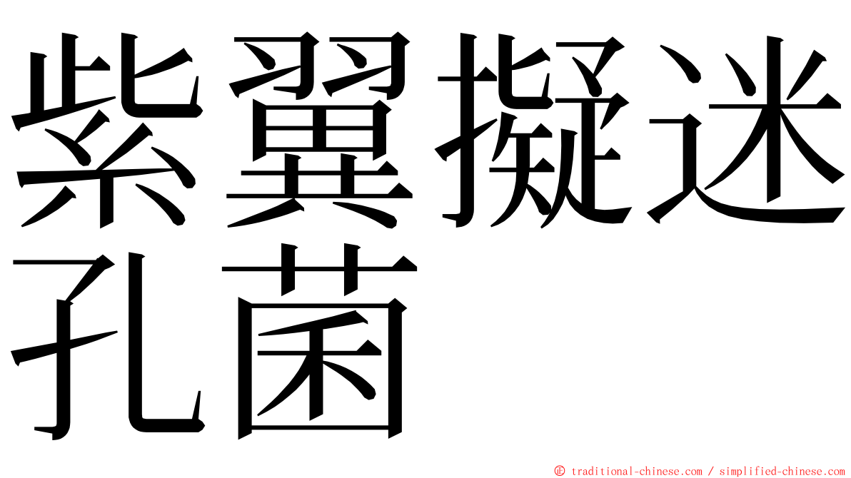 紫翼擬迷孔菌 ming font