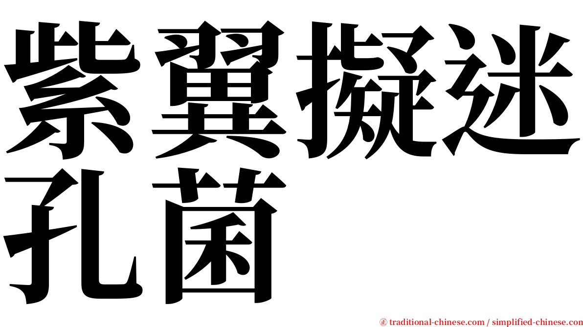 紫翼擬迷孔菌 serif font