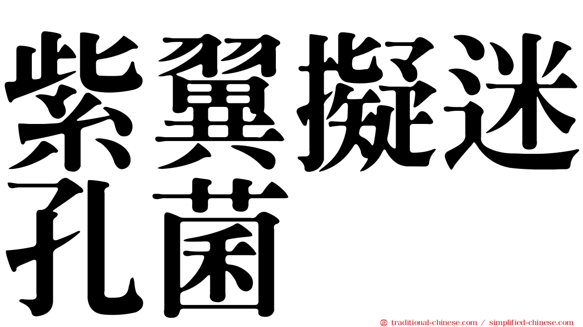 紫翼擬迷孔菌