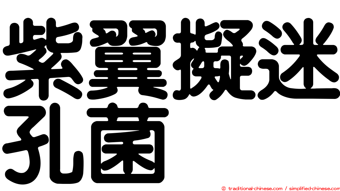 紫翼擬迷孔菌