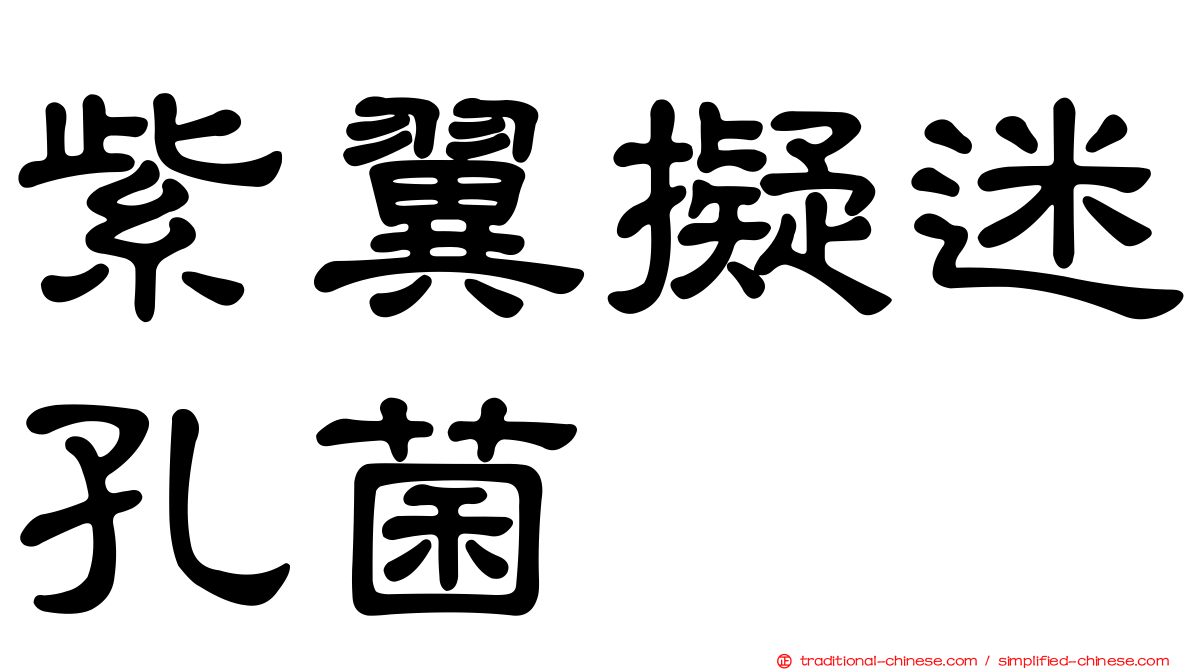 紫翼擬迷孔菌