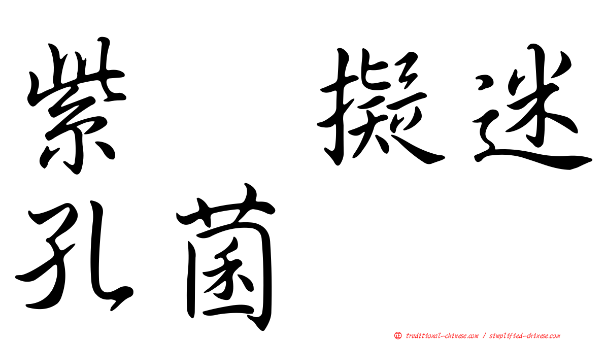 紫翼擬迷孔菌