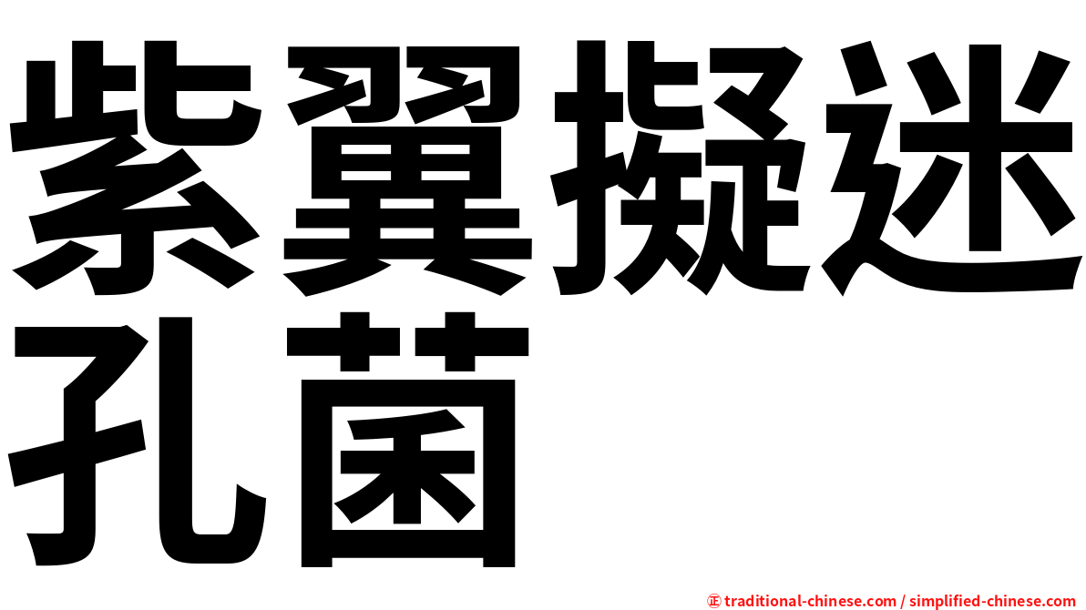 紫翼擬迷孔菌