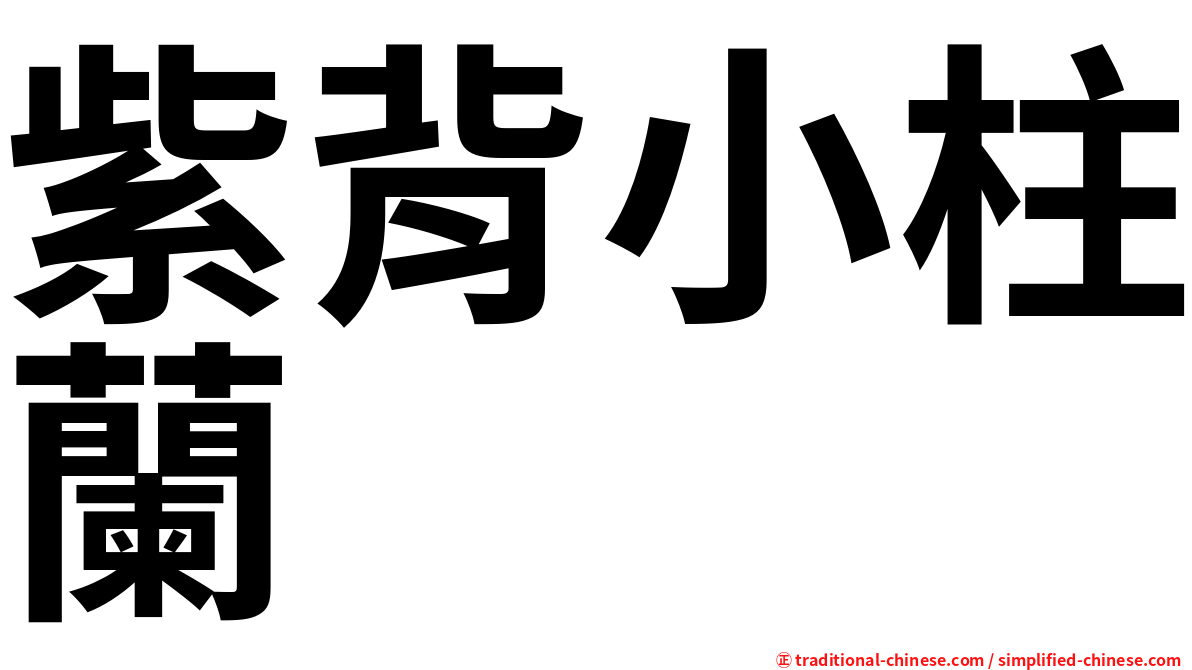 紫背小柱蘭