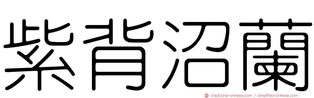 紫背沼蘭