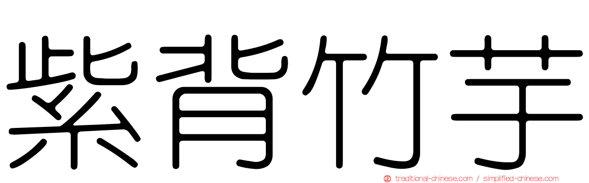 紫背竹芋