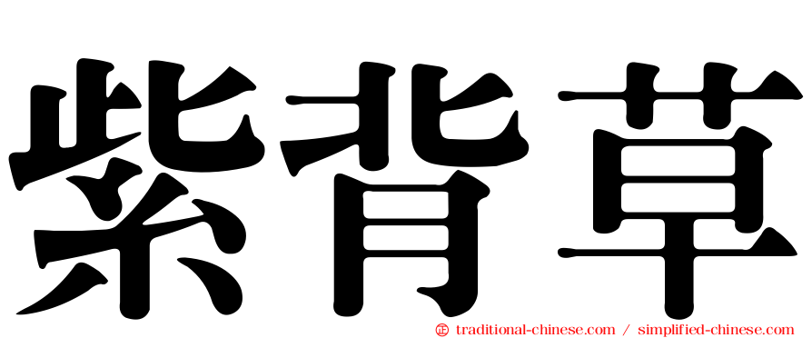 紫背草