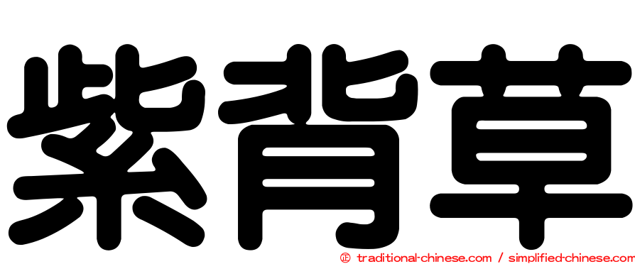 紫背草