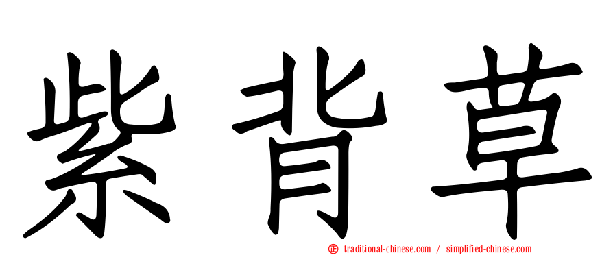 紫背草