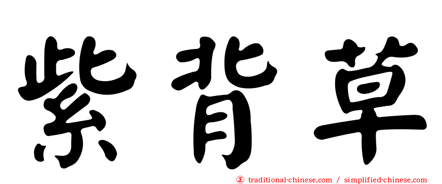 紫背草