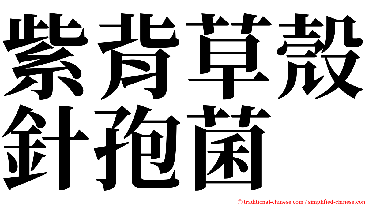 紫背草殼針孢菌 serif font