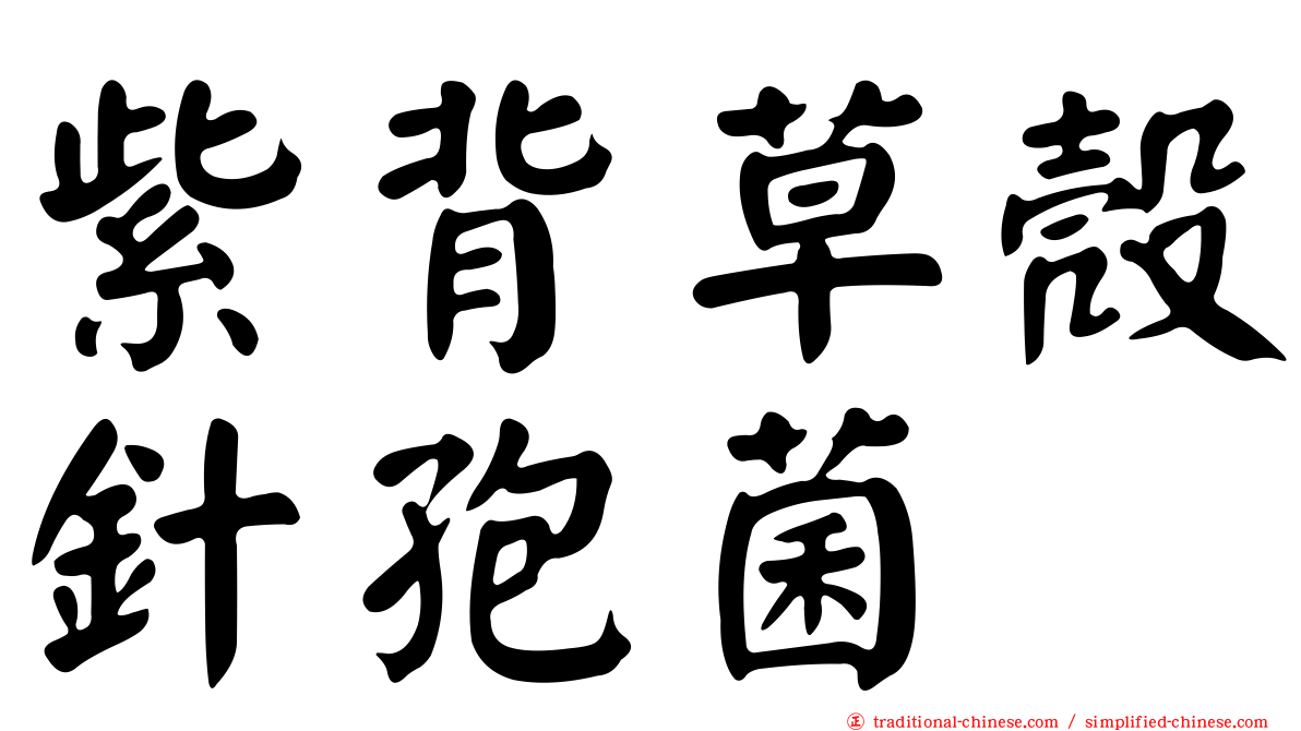 紫背草殼針孢菌