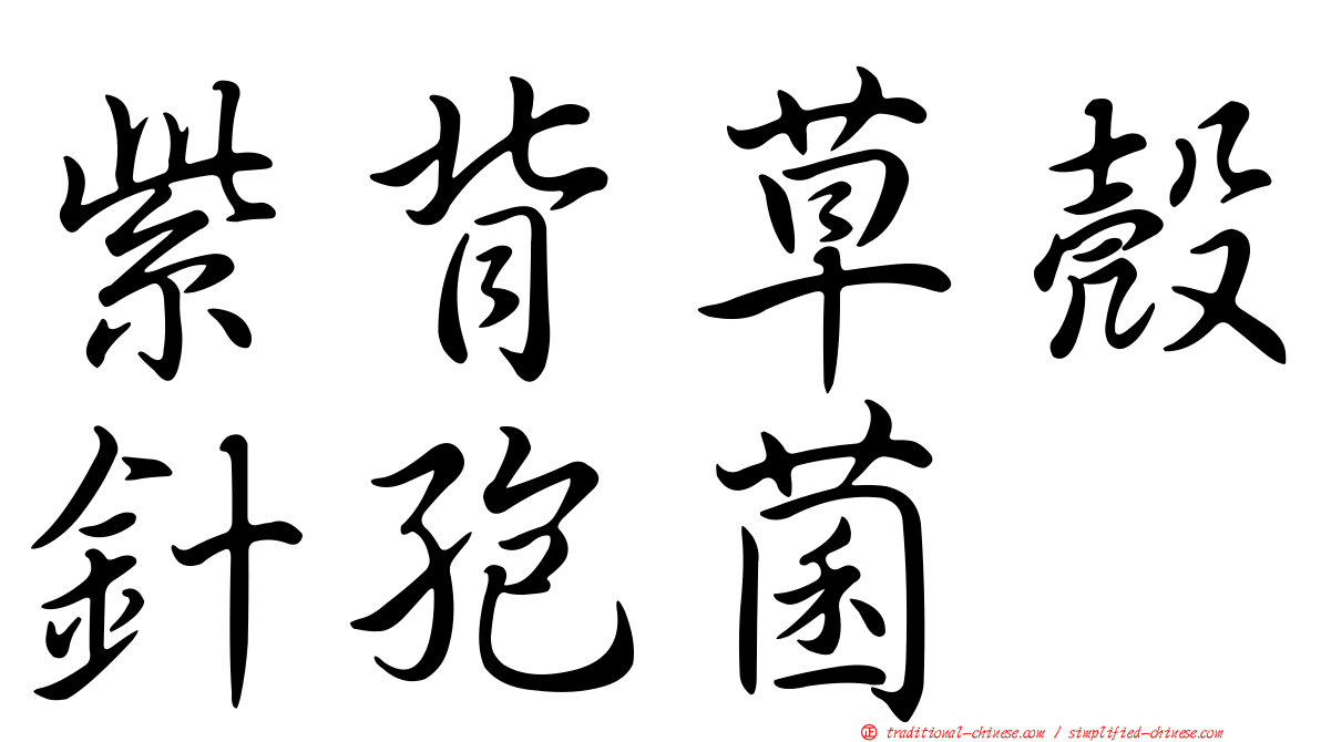紫背草殼針孢菌