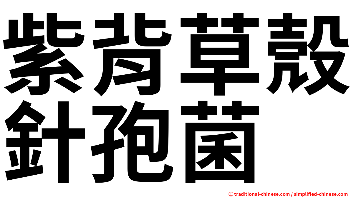 紫背草殼針孢菌