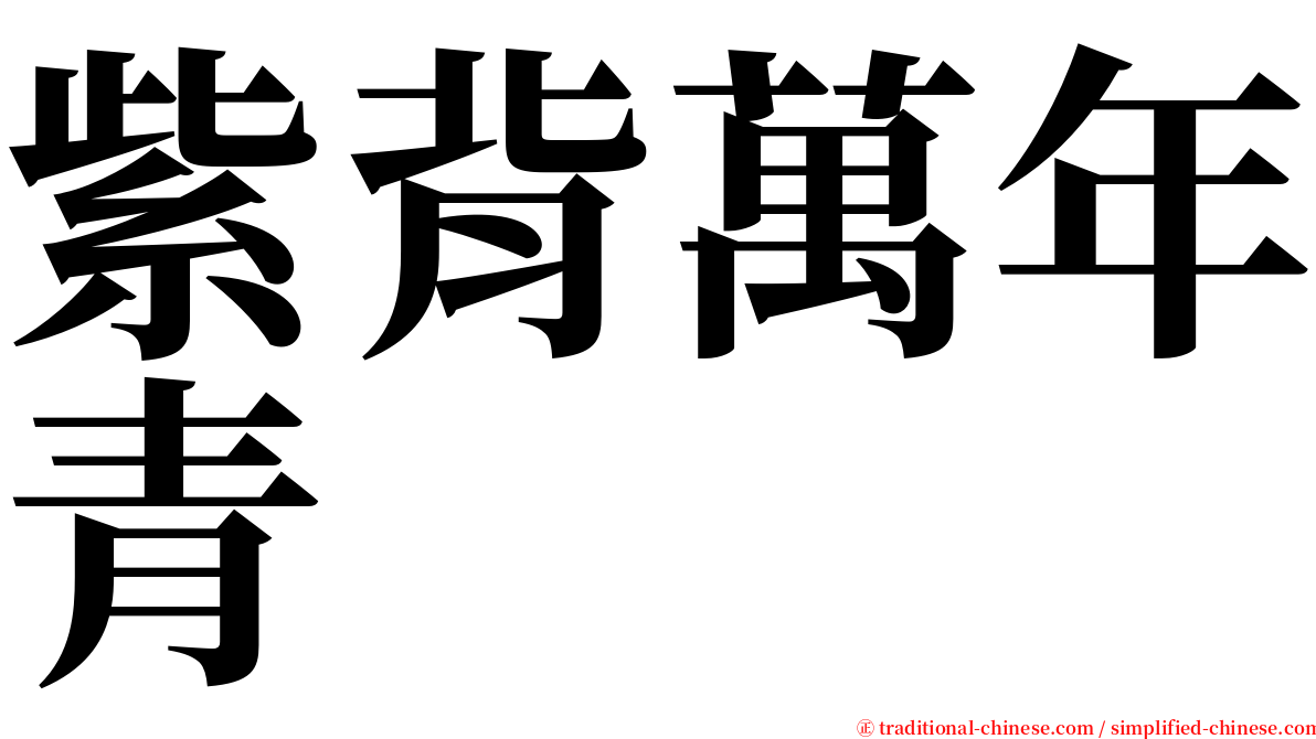 紫背萬年青 serif font