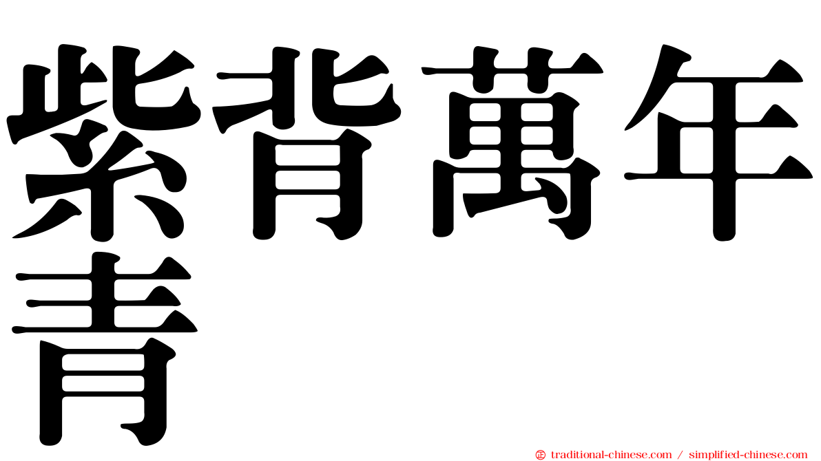 紫背萬年青