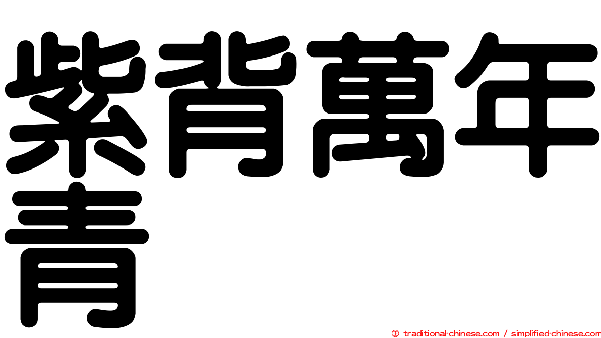 紫背萬年青
