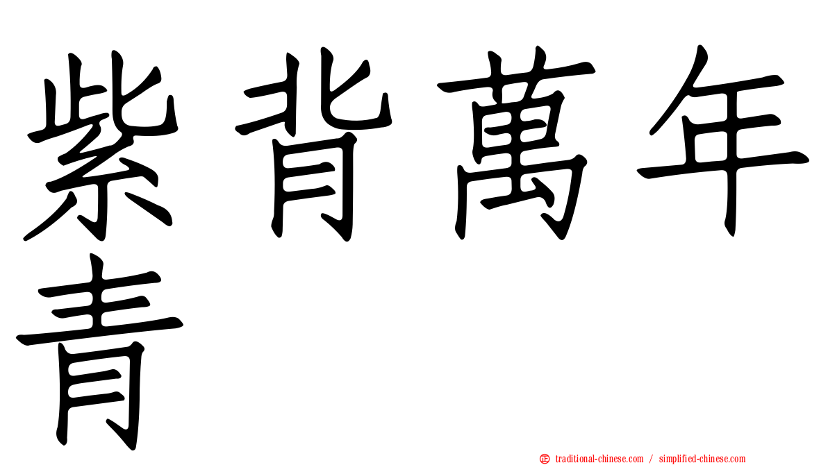 紫背萬年青