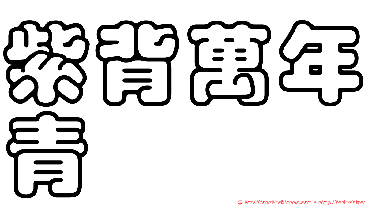 紫背萬年青