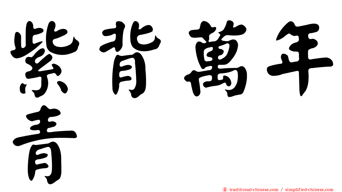紫背萬年青
