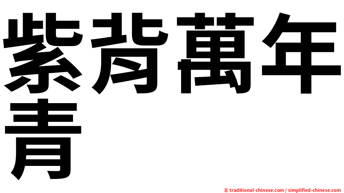 紫背萬年青